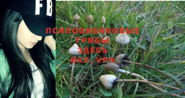 MDMA Premium VHQ Пересвет